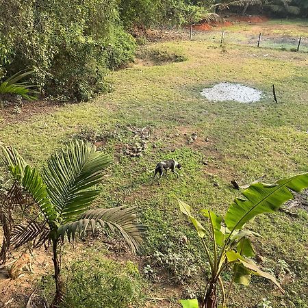 Hostelexp, Gokarna - A Slow-Paced Backpackers Community Eksteriør billede