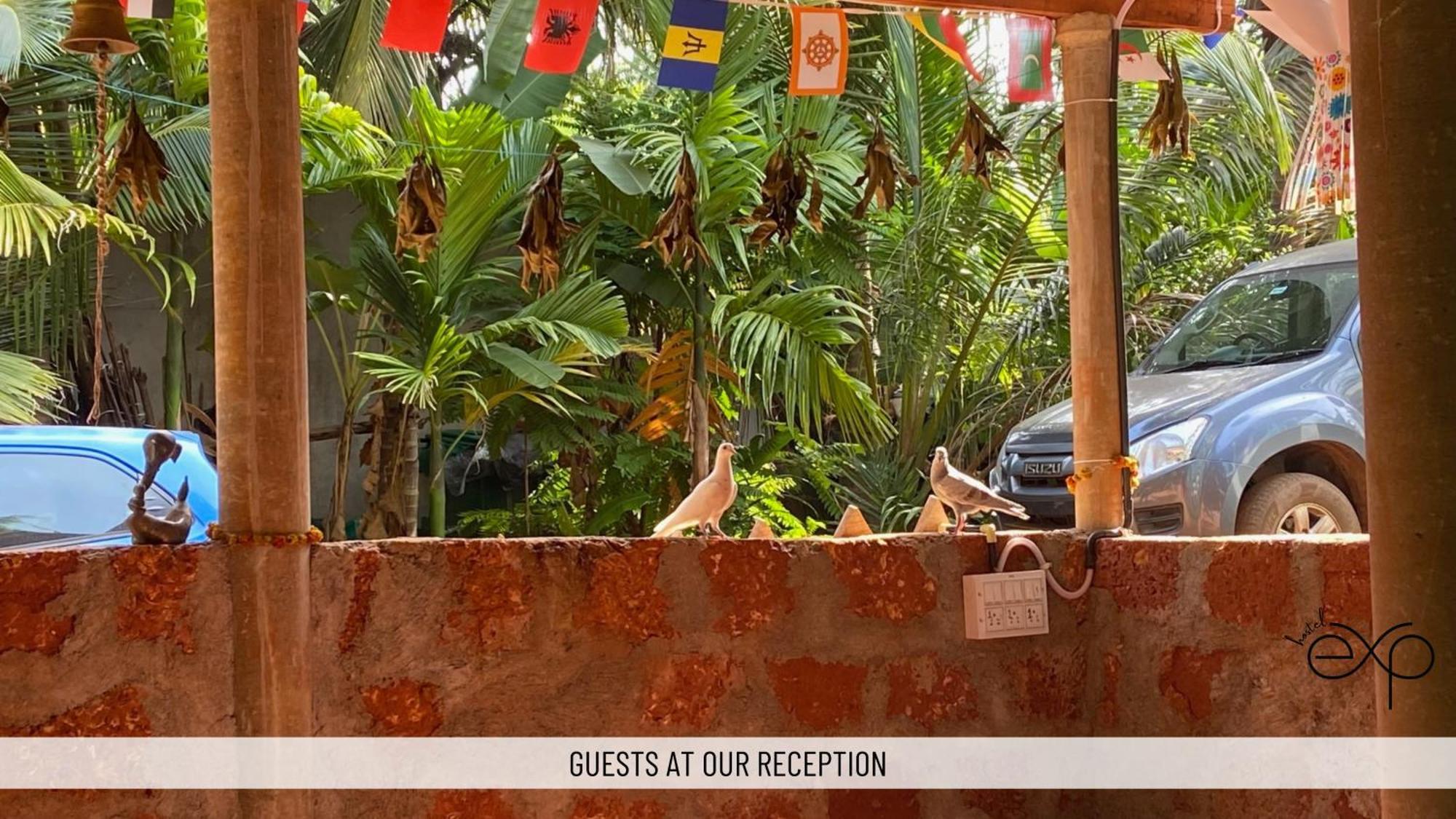 Hostelexp, Gokarna - A Slow-Paced Backpackers Community Eksteriør billede