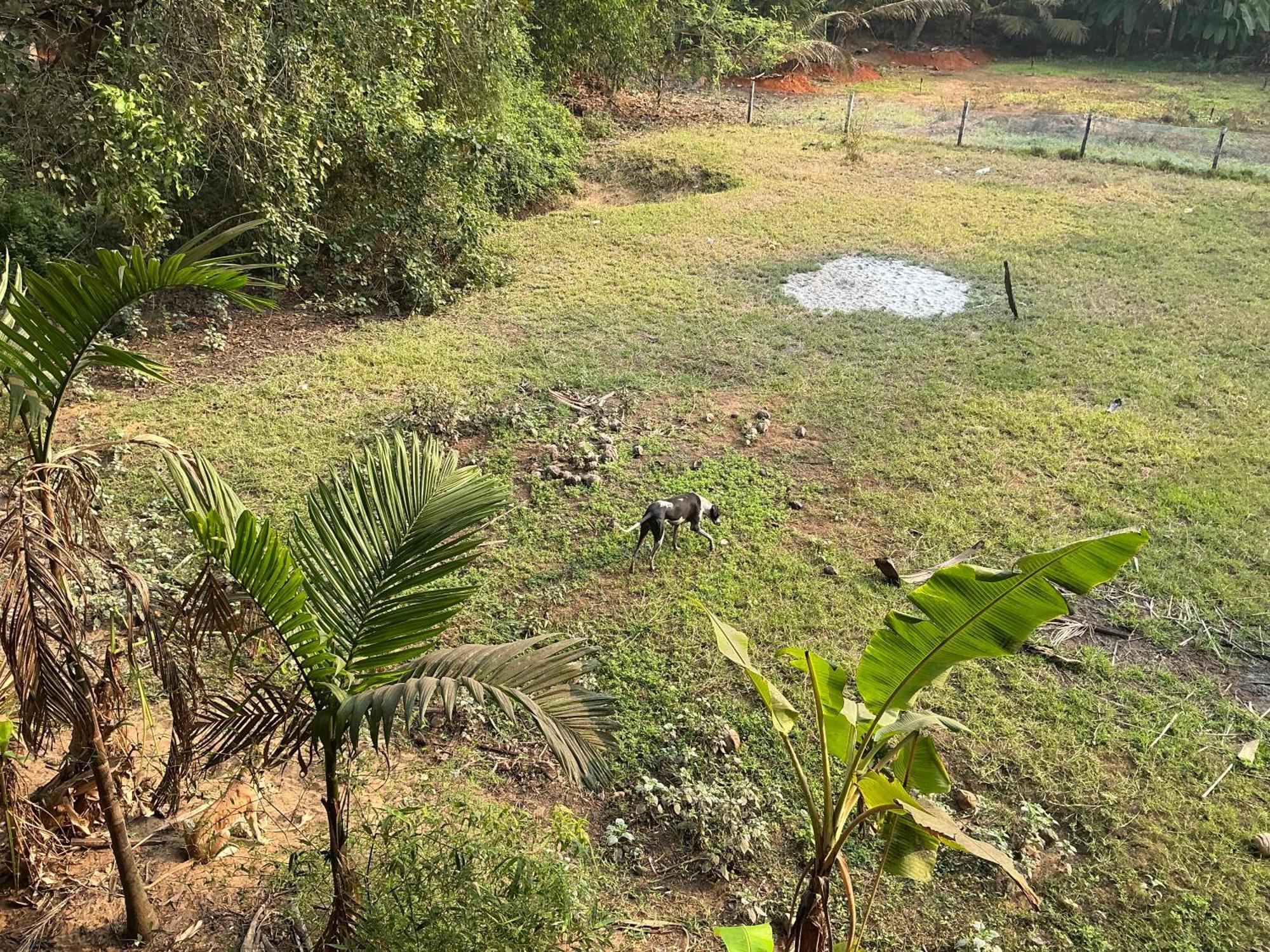 Hostelexp, Gokarna - A Slow-Paced Backpackers Community Eksteriør billede